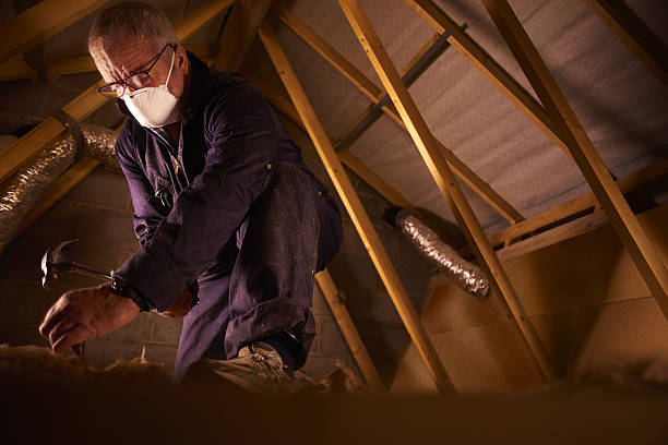 Best Cellulose Insulation  in Mill Hall, PA